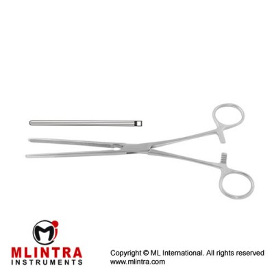 Kocher-Baby Intestinal Clamp Straight Stainless Steel, 13 cm - 5" Kocher-Baby Intestinal Clamp Straight Stainless Steel, 13 cm - 5"